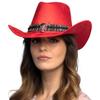 Boland - Django Cowboy Hat for Adults, Western Hat for Fancy Dress, Carnival and Theme Party view 3