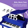 Best Choice Products Kids Classic Wooden 30-Key Mini Grand Piano Musical Instrument Toy w/ Piano Lid, Bench, Foldable Music Rack, Song Book, Note Stickers, Enamel Finish - Dark Blue view 4