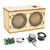 DIY Bluetooth Speaker Kit, Stem Projects for Kids Ages 8-12, Science STEM Kits for Kids Ages 10-12-14-16, Gifts for 9 10 11 12 13 14 15 16 Year Old Boys Teens (Wood) view 1