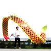 8 Meters (26.2 FT) Square Exercise Dragon Poi with 340g Weighted Ball and 1.2 Meters Swing Rope, Outdoor Flinging Fitness Dragon Dance Wu Long 3D Dragon Ribbon Streamer (Golden Yellow Dragon) view 1