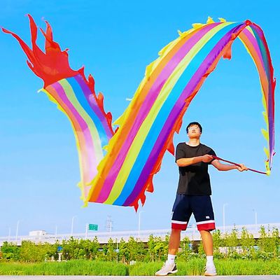 8 Meters (26.2 FT) Square Exercise Dragon Poi with 340g Weighted Ball and 1.2 Meters Swing Rope, Outdoor Flinging Fitness Dragon Dance Wu Long 3D Dragon Ribbon Streamer (Rainbow Dragon)