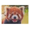 1000 Pieces Puzzles, Jigsaw Puzzle for Kids and Adults, Close-up of Little Raccoon Theme Puzzles for Teens, Family Games Preschool Toys Collection Gift Home Art Decor view 1