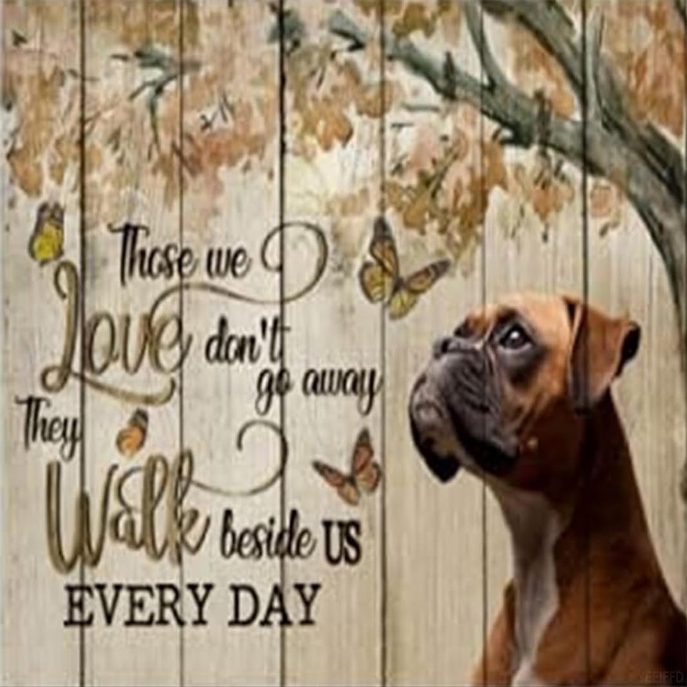 Jigsaw Puzzle for Adults, Those Love Don't Go Away - Boxer Dog Challenging Educational Fun Family Activities Games Toys Gifts Wooden Puzzles 500 Piece