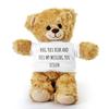 SpreadPassion Daughter Teddy Bear, Hug This Bear and Feel My Missing You lessen, Gift for Daughter, Gift Stuffed Animal, Plush Teddy Bear with Tee, Birthday Christmas Basket Gift Idea view 1