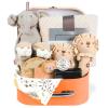 11 Pcs Baby Shower Gifts Basket for Newborns Baby Boy Gender Neutral Baby Gift Set with Baby Blanket Rattle, Milestone Security Blanket Decision Coin & Towels Socks Essentials for Baby Boys Girls view 1