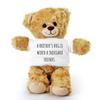A Brothers Hug is Worth a Thousand Friends Teddy Bear Gift - Birthday Idea view 1