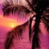 1000 Pieces Wooden Jigsaw Puzzle for Adults, Family or Elderly, Palm Tree Sunrise Puzzles, Art Home Decor DIY Funny Parent-Child Educational Game Toy Sunset Puzzle Gift for Mom, Wife, Friend view 1