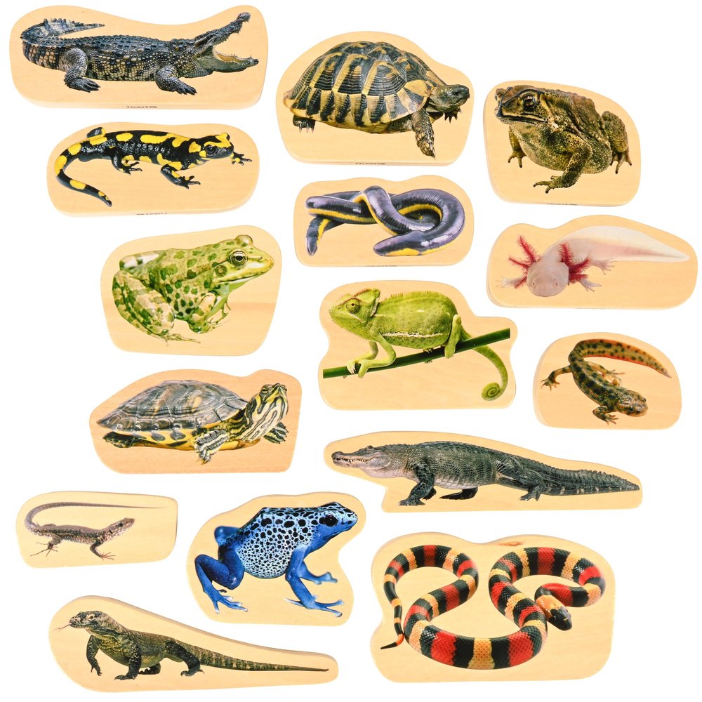TickiT Wooden Reptile & Amphibian Blocks