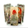 Ibiza Tarot- The Chakra Oracle - Energetic Insight for Every Soul-22 Major Arcana| Fortune Telling Tarot Cards Deck for Beginners| Authentic Tarot Experience - Set of 22 Cards view 1
