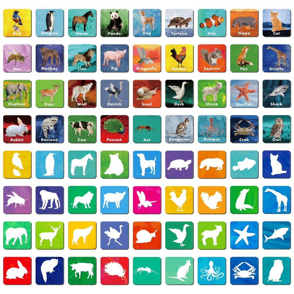 Hebayy 108 PCS Memory Matching Game, 72 Animal Cards & 36 Shadow Cards Matching Cards 36 Pairs Real Animal for Toddlers, Preschool, Kids 4 5 6 Years Old (2 x 2)