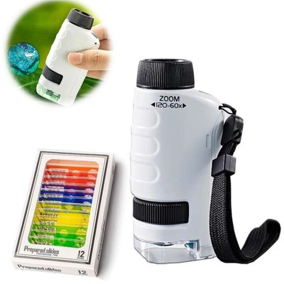 2024 New Mini Microscope for Kids Portable,Handheld Microscope for Kids,60x-120x Portable Handheld Microscope (White)