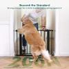 Babelio Extra Wide Baby/Dog Gate PressGuard P7, 29-55" Auto Close for The House and Doorway, Safety Pressure Mounted Pet Door, NO Need Tools and Drilling, Black view 2