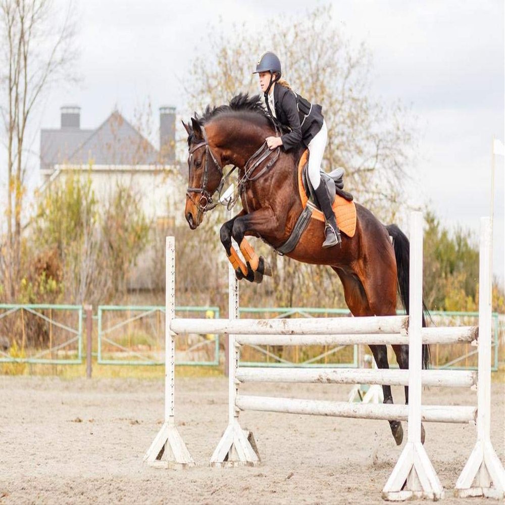 1000 Pieces Jigsaw Puzzles for Adults Young Female Rider Jumping Over Hurdle Horse Wooden Puzzle Family Decor Decompression Toys Fun Games Best Gift for Teens Kids