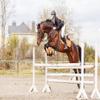 1000 Pieces Jigsaw Puzzles for Adults Young Female Rider Jumping Over Hurdle Horse Wooden Puzzle Family Decor Decompression Toys Fun Games Best Gift for Teens Kids view 1