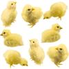 8 Pcs Realistic Easter Chicks Simulated Fluffy Chicken Yellow Chicken Figurines for Easter Egg Fillers Easter Party Favors, 4 Styles view 1