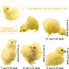 8 Pcs Realistic Easter Chicks Simulated Fluffy Chicken Yellow Chicken Figurines for Easter Egg Fillers Easter Party Favors, 4 Styles view 2