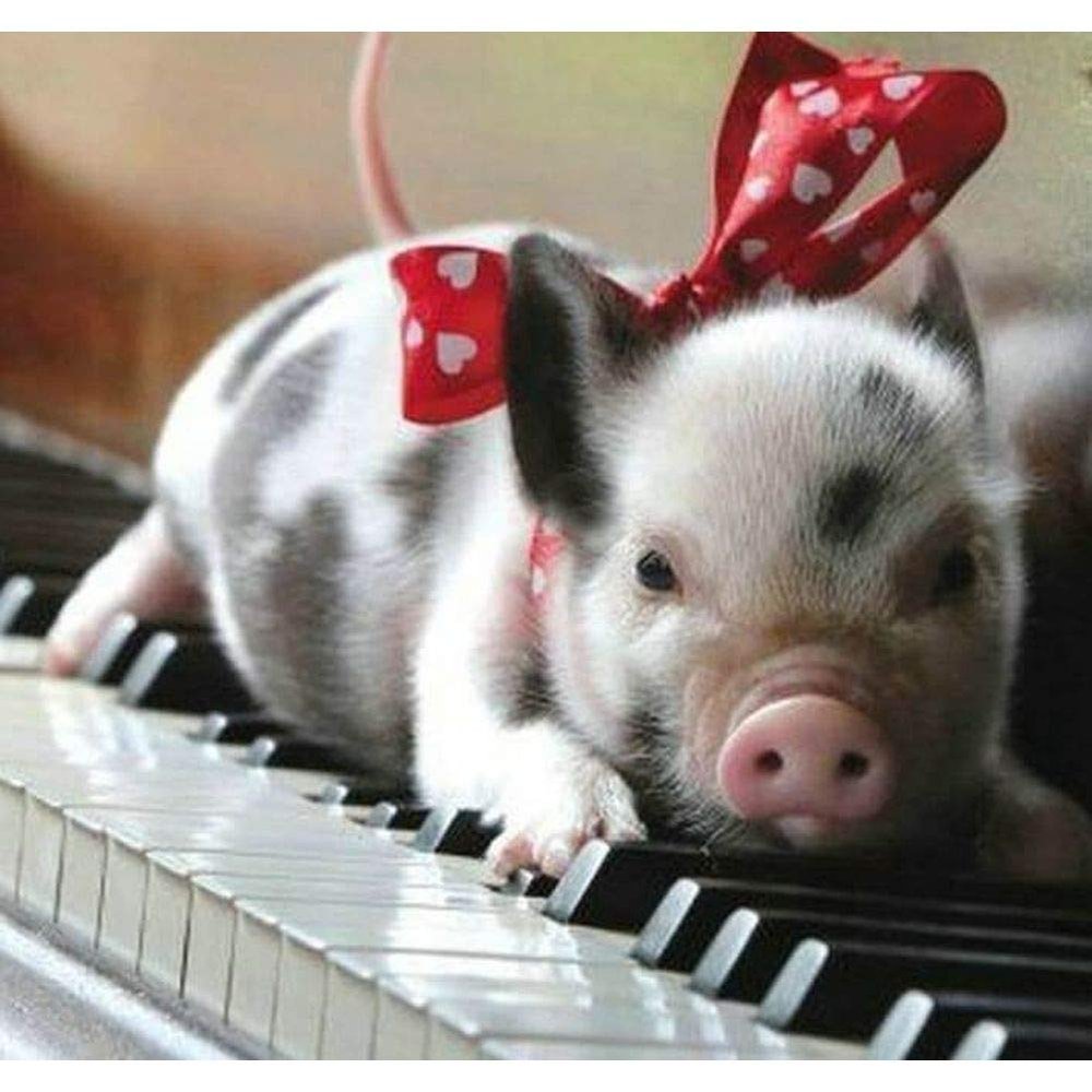 1000 Pieces Jigsaw Puzzles for Adults Toy Mini Pig On A Piano Wooden Puzzle Cute Piggy Challenge Puzzle Game for Youth Childen Home Wall Decoration Preschool Toy Best Gift