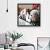1000 Pieces Jigsaw Puzzles for Adults Toy Mini Pig On A Piano Wooden Puzzle Cute Piggy Challenge Puzzle Game for Youth Childen Home Wall Decoration Preschool Toy Best Gift view 2