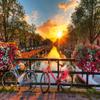 Ravensburger Bicycles in Amsterdam 1000 Piece Jigsaw Puzzle for Adults - 12000662 - Handcrafted Tooling, Made in Germany, Every Piece Fits Together Perfectly view 1
