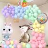 Yumiche Easter Balloon Arch Spring Balloon Garland Arch Ki With Pastel Balloons,Bunny And Carrot Foil Balloons for Easter Decorations view 4