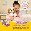 Little Live Pets My Really Real Puppy Patches The Beagle, Interactive Realistic Toy Dog with 60+ Sounds and 2-in-1 Bed, Lifelike Puppy for Ages 5+ view 2