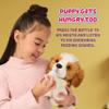 Little Live Pets My Really Real Puppy Patches The Beagle, Interactive Realistic Toy Dog with 60+ Sounds and 2-in-1 Bed, Lifelike Puppy for Ages 5+ view 4