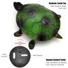 Tipmant Cute RC Turtle Remote Control Tortoise Toy Realistic Simulation Electric Electronic Animal for Cat Toddler Kids Birthday (Green) view 2