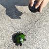 Tipmant Cute RC Turtle Remote Control Tortoise Toy Realistic Simulation Electric Electronic Animal for Cat Toddler Kids Birthday (Green) view 3