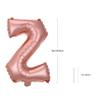 Rose Pink Letter Z Balloons 16 Inch, Mylar Foil Letter Alphabet, Hanging, Reusable for girls boys adults Birthday,Surprise,Wedding, Celebration, Sports Party Event Decoration Supplies view 2