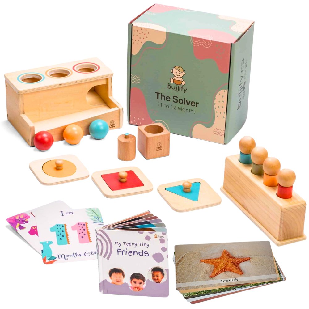 Bujjify Montessori Toy Set 11-12 Months Baby Toys- 1 Year Birthday Gift, Push Ball, Shape Puzzle, Popup Toy, Pincer Grasp, Diversity Board Book, Picture Cards, Brain Development Toddler Toy
