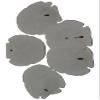 6 PCS White Arrowhead Sand Dollar SEA Shell Wedding Beach 3" - 3 1/2" #7509 Fast Free Supply view 1