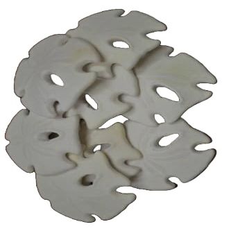 8 PCS White Arrowhead Sand Dollar SEA Shell Wedding Beach 3 1/2" - 4" Fast Free Supply