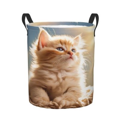 Foruidea Kitten Laundry Basket,Laundry Hamper,Collapsible Storage Bin, Oxford Fabric Clothes Baskets,Nursery Hamper For Home,Office,Dorm,Gift Basket