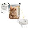 Foruidea Kitten Laundry Basket,Laundry Hamper,Collapsible Storage Bin, Oxford Fabric Clothes Baskets,Nursery Hamper For Home,Office,Dorm,Gift Basket view 2