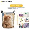 Foruidea Kitten Laundry Basket,Laundry Hamper,Collapsible Storage Bin, Oxford Fabric Clothes Baskets,Nursery Hamper For Home,Office,Dorm,Gift Basket view 3