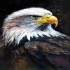Handsome Eagle - 500 Pieces Adult Wooden Puzzles - for All Jigsaw Puzzle Toy Lovers - Spend Time Getting a Sense of Achievement Beautiful Gift view 1