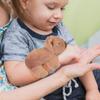 ABOOFAN Capybara Slap Bracelet Stuffed Animal Plush Capybara Huggers Bracelets Slap Band Birthday Thanksgiving Christmas Party Favors view 3
