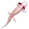 Safari Ltd. Axolotl Figurine - Realistic 7" Model Figure - Educational Toy for Boys, Girls, and Kids Ages 3+ view 3