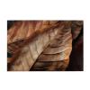 Withered Leaves Puzzles 1000 Pieces Personalized Jigsaw Puzzles Wooden Photo Puzzle for Adults Family Picture Puzzle Gifts for Wedding Birthday Valentine's Day Gifts(29.5" x 19.7") view 2