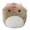 Squishmallows 7.5" Ainhoca The Ankylosaurus view 1