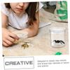 Healvian 15pcs Portable Insect Observation Box with Magnifying Lid Transparent Bug Cages for Adults for Collecting and Observing Insects and Critters view 2