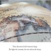 Detailed Dia 17-inch/43CM Globe, 3D Concave-convex Relief Mountain Design World Globe, 720 Rotation Earth Globe Built in LED New view 4