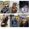 Germinate 4 Seater Wagon Stroller, Large Quad Wagon for 2 3 4 Kids Baby Toddler Child with Seats, All Terrain, Triple Stroller, Adjustable Push/Pull Handles, Removable Canopy (Dark Grey) view 4