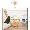 Detailed Mini Globe, 720 Rotating World Globe with Stable Stand, Geographic Globe for Kids Classroom Learning Portable Earth Globe New view 2