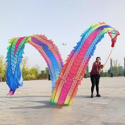 CMYUN Dragon Poi Dancer Dragon Poi Dance Ribbon Colorful, Adult Dancer Gymnastic Silk Ribbon with Head, Washable 3D Dragon Kite/Exercise Streamer, Spinning Poi (Size : Length - 8m/26ft)