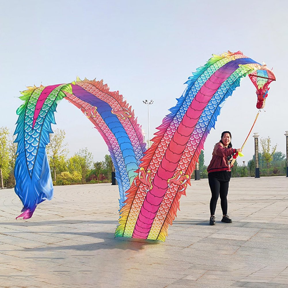 CMYUN Dragon Poi Dancer Dragon Poi Dance Ribbon Colorful, Adult Dancer Gymnastic Silk Ribbon with Head, Washable 3D Dragon Kite/Exercise Streamer, Spinning Poi (Size : Length - 8m/26ft)