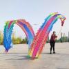 CMYUN Dragon Poi Dancer Dragon Poi Dance Ribbon Colorful, Adult Dancer Gymnastic Silk Ribbon with Head, Washable 3D Dragon Kite/Exercise Streamer, Spinning Poi (Size : Length - 8m/26ft) view 1