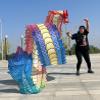 CMYUN Dragon Poi Dancer Dragon Poi Dance Ribbon Colorful, Adult Dancer Gymnastic Silk Ribbon with Head, Washable 3D Dragon Kite/Exercise Streamer, Spinning Poi (Size : Length - 8m/26ft) view 2