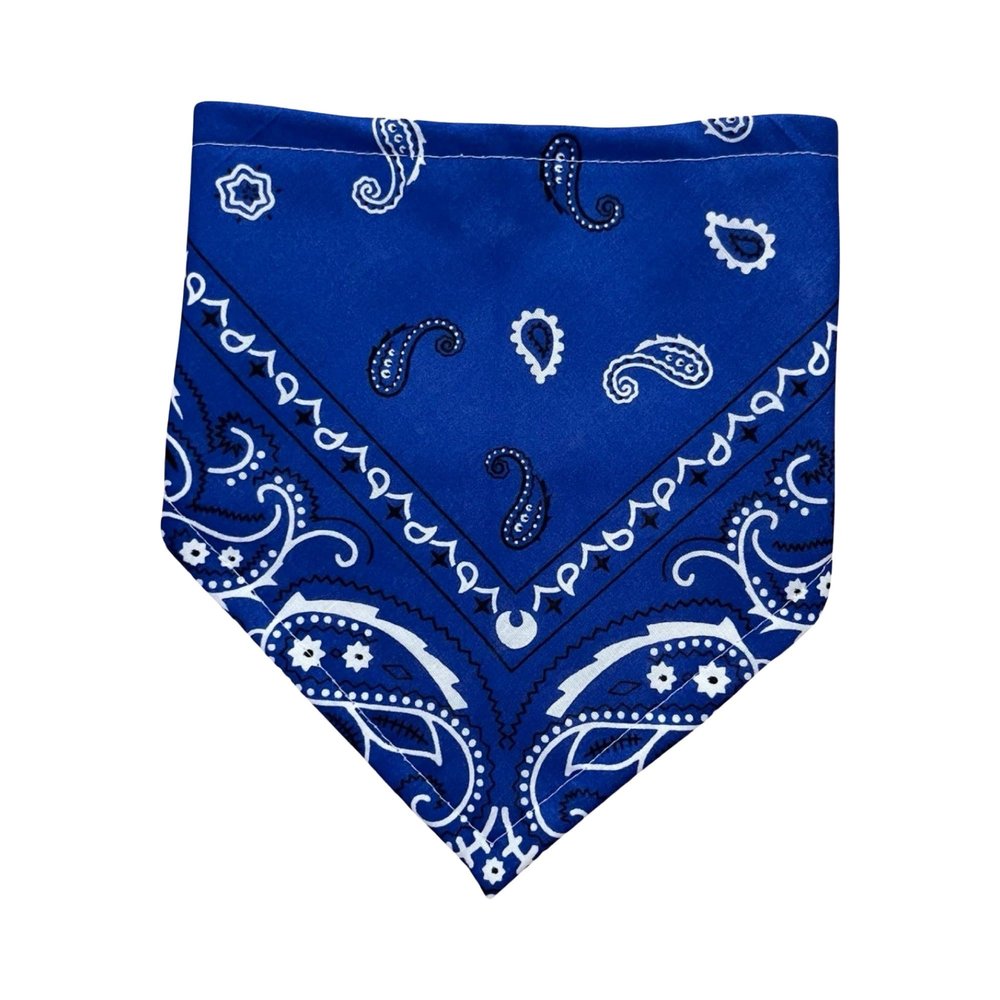 Blue Bandana Bib For Baby