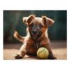 1000 Pieces Jigsaw Puzzle for Adults Dog Playing with Ball,Norfolk Terrier Animal Puzzle, Kids Puzzle Decompress Toys Leisure Games DIY Home Decoration Gifts for Friends view 1